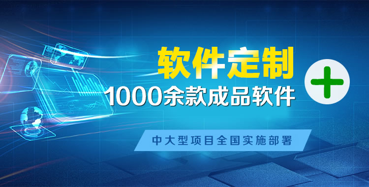 连平软件开发